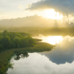 Unión Europea. Industria de tecnologías neutras en carbono.